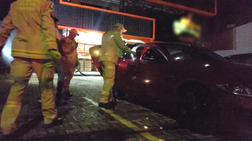 Bombeiros quebram vidro de Jaguar com as portas travadas e resgatam cachorros no Neva