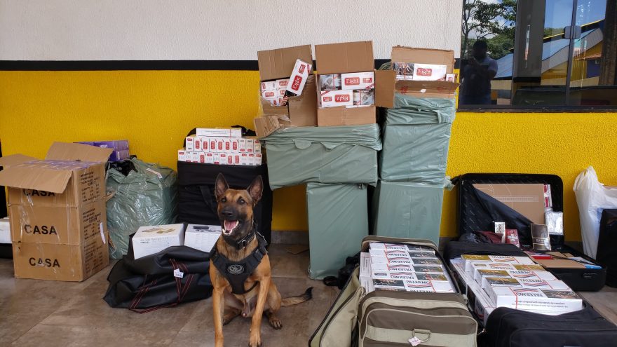 PRE realiza apreensão de carga de cigarro, eletrônicos e maconha na Rodoviária de Cascavel