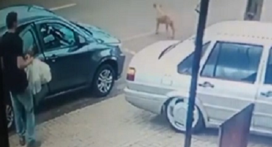 Homem deixa prejuízo de R$ 200 em panificadora no Periolo