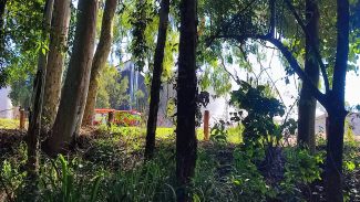 Empresa Dip Frangos S/A emite nota após incêndio: 