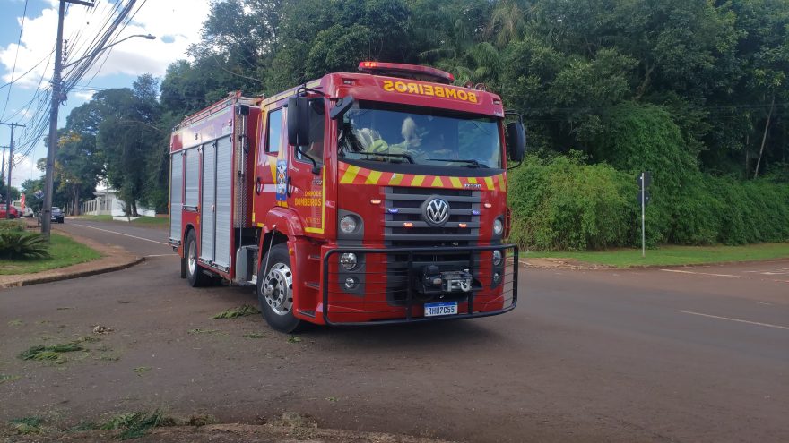 Galho de árvore que trazia risco para pedestres é cortada pelos Bombeiros