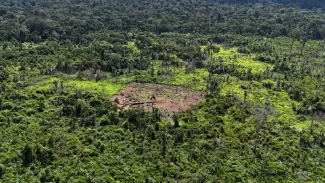 Indígenas karipuna denunciam aumento de invasores em sua terra