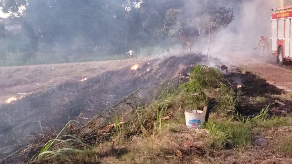 Bombeiros combatem incêndio em área de mata no Jardim Quebec