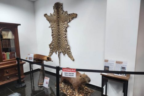 Polícia Científica leva exposição sobre crimes ambientais para Matinhos e Guaratuba