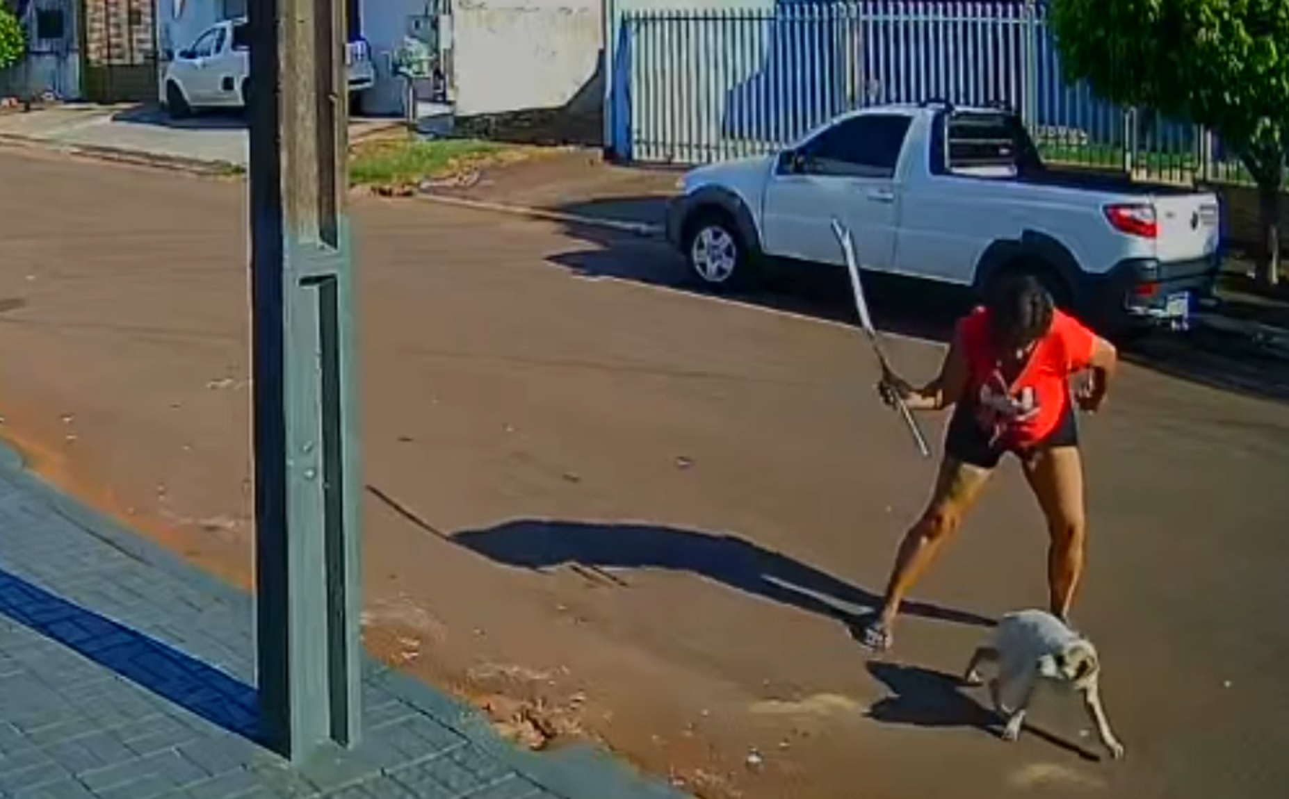 Chocante! Câmera flagra mulher dando paulada em cachorro no Colonial
