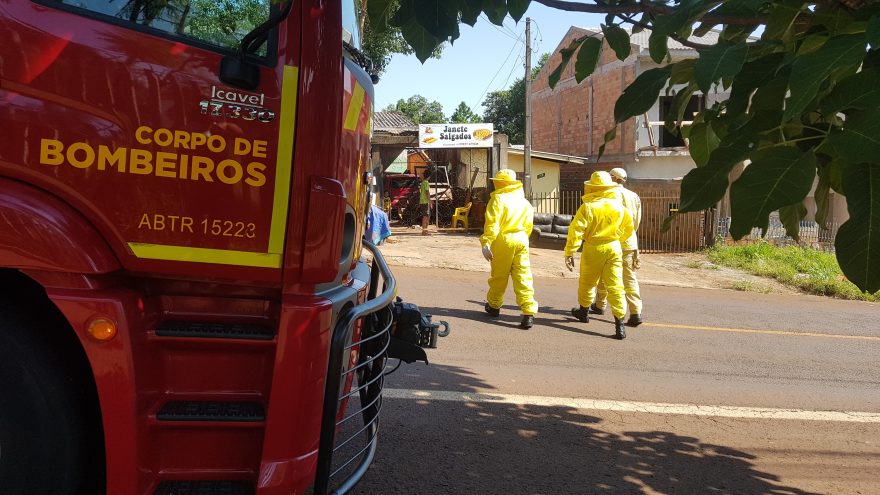 Ataque de abelhas no Bairro Morumbi mobiliza equipes do Corpo de Bombeiros