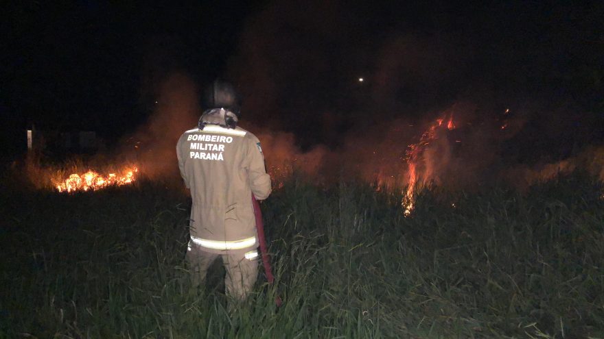 Bombeiros combatem incêndio em grande área de vegetação no Bairro Periolo