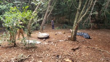 Imagem referente a Mulher é encontrada morta com tiros na cabeça no Bairro Santa Cruz