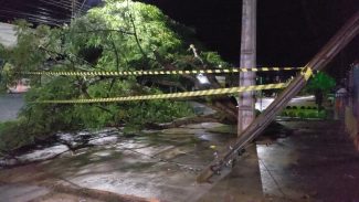 Temporal: Mais de 30 ocorrências de desastre foram atendidas pela Defesa Civil