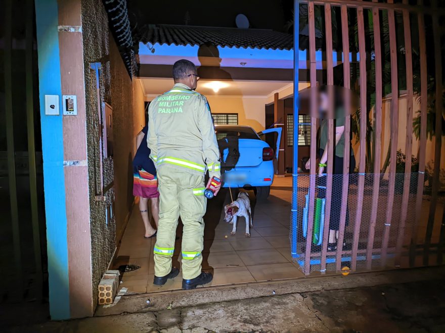 Bombeiros resgatam cachorro no Alto Alegre