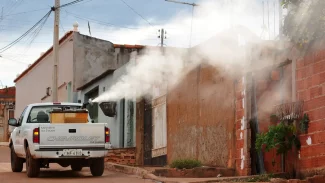 Ivermectina não é eficaz contra dengue, alerta Ministério da Saúde
