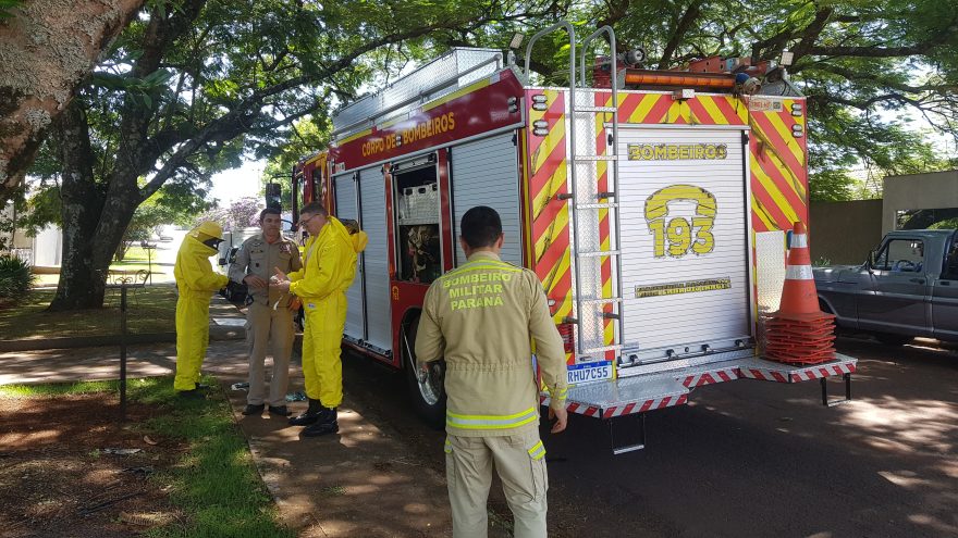 Bombeiros atendem jovem picado por abelhas no Country