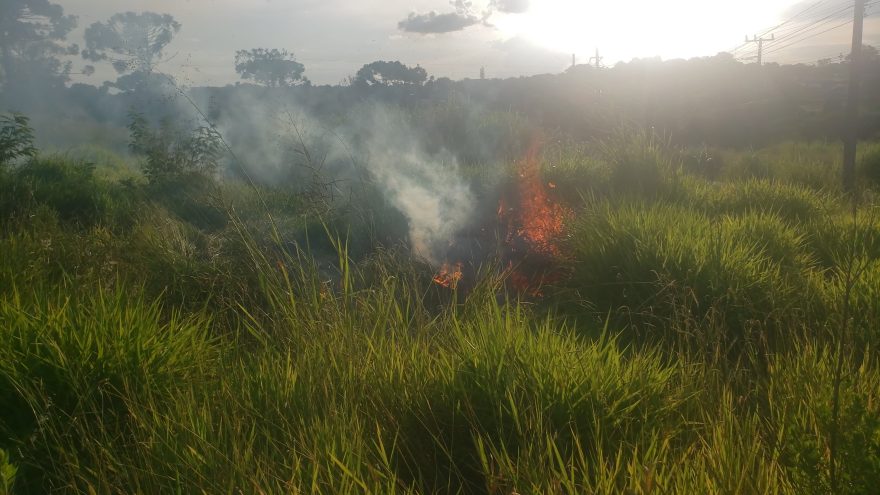 Bombeiros combatem incêndio em vegetação no Cascavel Velho