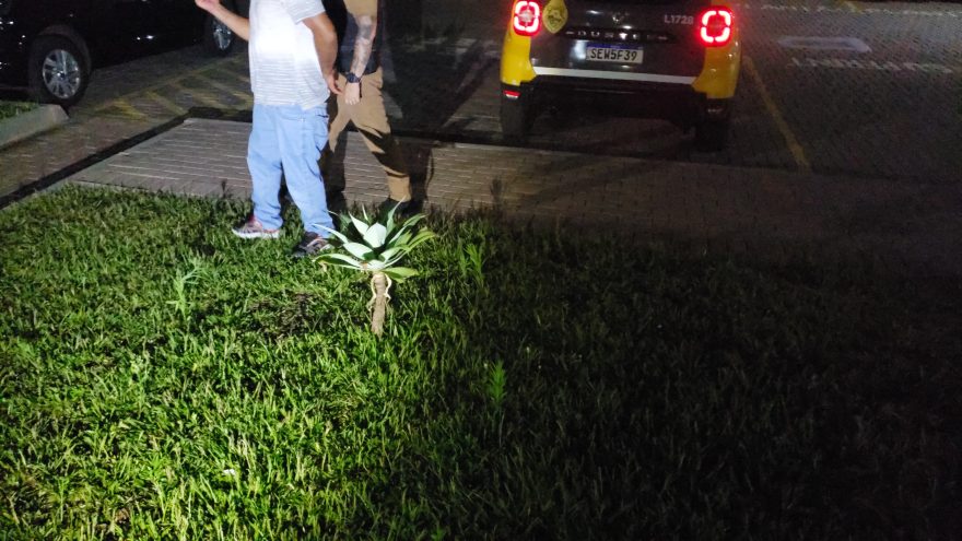 Homem é preso pela PM por violência doméstica