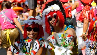 Em dia de calor forte, pelo menos 41 blocos desfilam pelas ruas do Rio