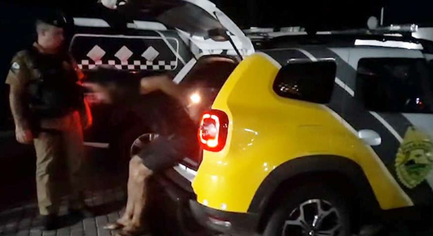 Ação conjunta da PM e da GCP impede furto em Cmei de Cascavel; homem é detido em flagrante