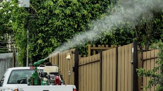 Rio de Janeiro confirma segunda morte por dengue