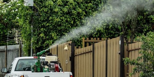 Imagem referente a Rio de Janeiro confirma segunda morte por dengue