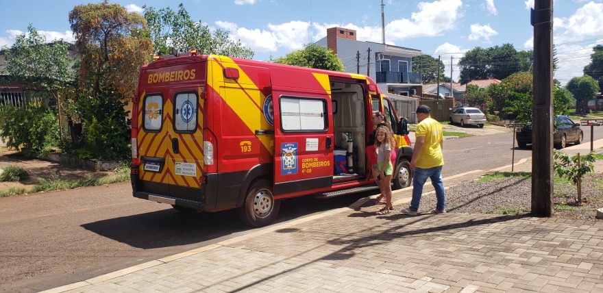 Ao subir em pé de abacate, homem sofre queda de escada e é socorrido pelo Corpo de Bombeiros