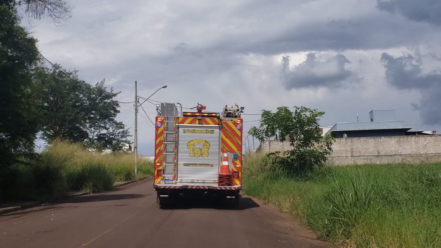 Incêndio em vegetação mobiliza Corpo de Bombeiros no Cascavel Velho