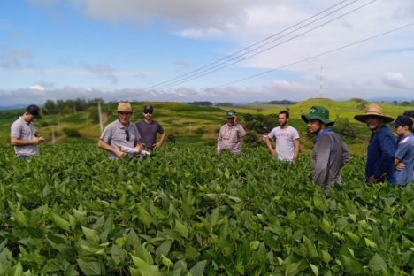 Com assistência do IDR-PR, soja orgânica aumenta rendimento de produtores de Jardim Alegre