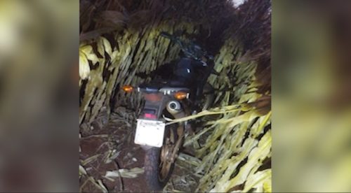 Honda Bros furtada em dezembro de 2023 é localizada pela PM em área rural na PR-486 Imagem referente a Honda Bros furtada em dezembro de 2023 é localizada pela PM em área rural na PR-486