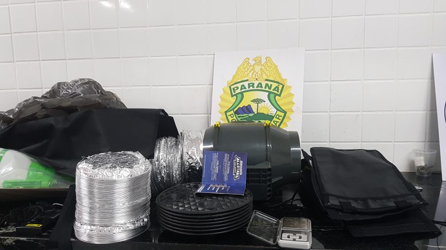Em ocorrência de violência doméstica, PM apreende sementes e materiais para cultivo de maconha no Riviera