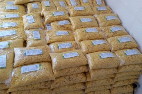 Com apoio do Estado, cooperativa da agricultura familiar de Pinhão investe em farinha de milho