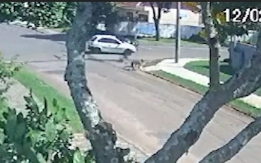 Câmeras de monitoramento auxiliam Polícia Civil a elucidar acidente de trânsito onde motorista fugiu