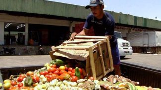 Pesquisa traz dicas sobre como reduzir desperdício de alimentos