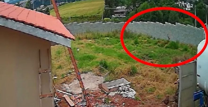 Câmeras flagram homem arrastando corpo de mulher assassinada em Ponta Grossa