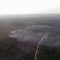 Imagem referente a Área queimada no Brasil cresce 248% em relação a janeiro de 2023