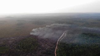 Área queimada no Brasil cresce 248% em relação a janeiro de 2023