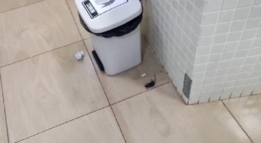 Pacientes se assustam com rato morto na sala de espera da UPA Veneza