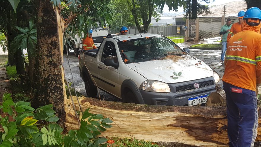 Árvore cai em cima de Fiat Strada no bairro Country