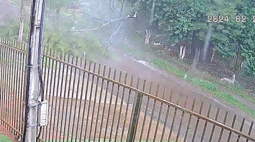 Câmeras registram o momento em que árvore cai durante temporal no Periolo