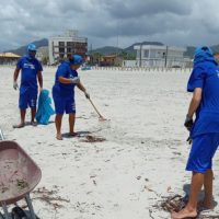 Imagem referente a Sanepar retira 355 toneladas de lixo das praias e bate recorde de produção de água