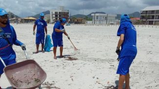 Sanepar retira 355 toneladas de lixo das praias e bate recorde de produção de água