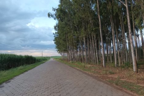 Estradas rurais revitalizadas e selo de sanidade vão favorecer produtores de Nova Londrina