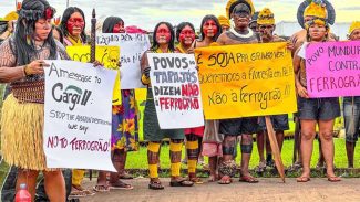 Indígenas protestam contra construção da Ferrogrão