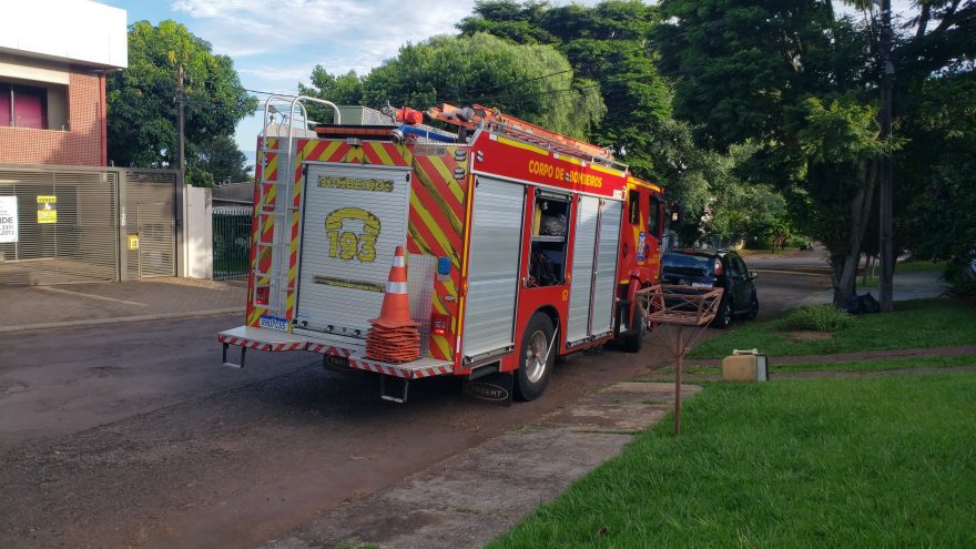 Gambá é resgatado pelos Bombeiros no Maria Luiza
