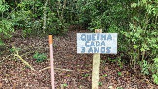 Laboratório a céu aberto permite pesquisas sobre queimadas