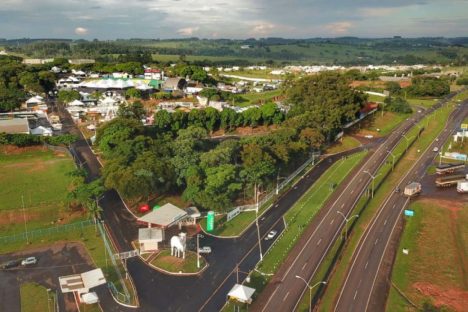 Educação ambiental: IAT vai distribuir 8 mil mudas na 49ª Expo Umuarama