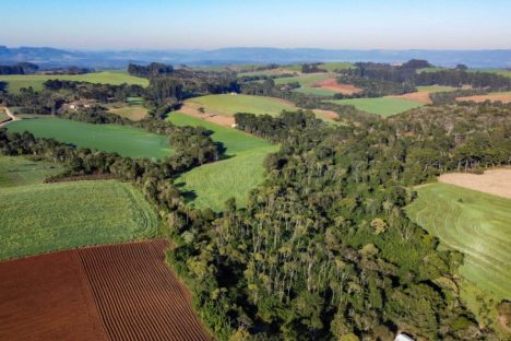 ICMS por Biodiversidade: municípios têm até 30 de abril para cadastrar novas áreas