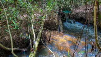 Pesquisa de longo prazo aponta impacto ambiental da agricultura