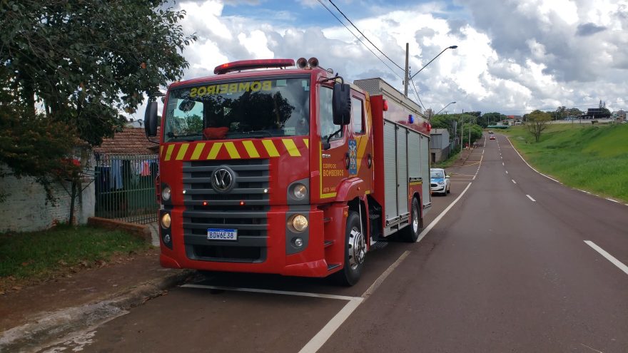 Bombeiros são acionados para capturar cobra na Estrada Marginal da BR-277