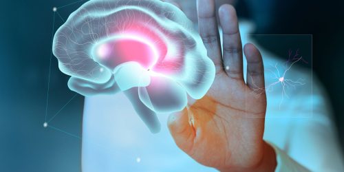PEC propõe proteção à privacidade mental na era das neurotecnologias Imagem referente a PEC propõe proteção à privacidade mental na era das neurotecnologias