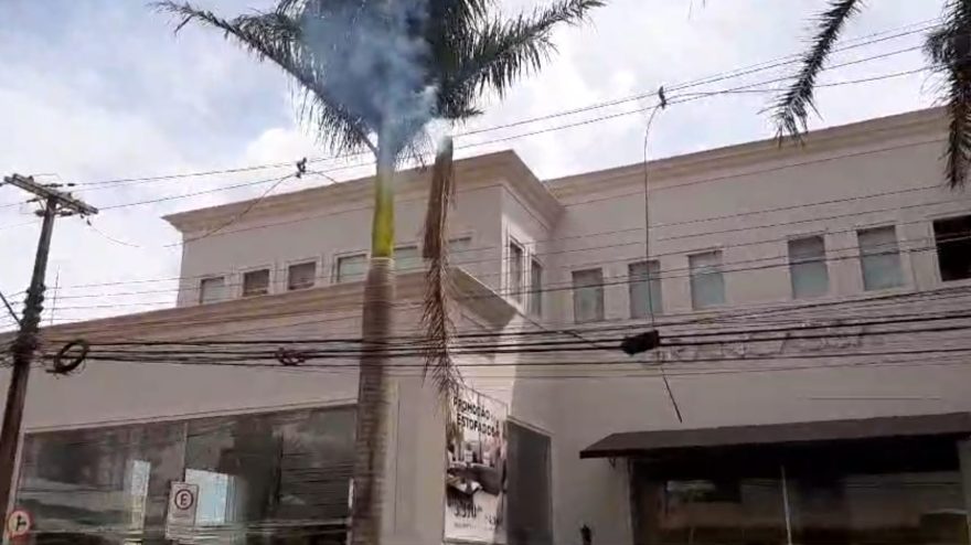 Galho de coqueiro cai em fios e provoca curto-circuito no Centro
