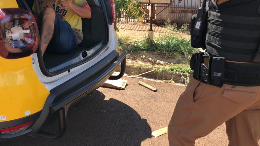 Maus-tratos: Cachorra é encontrada morrendo embaixo do sol e tutor é detido pela Polícia Militar