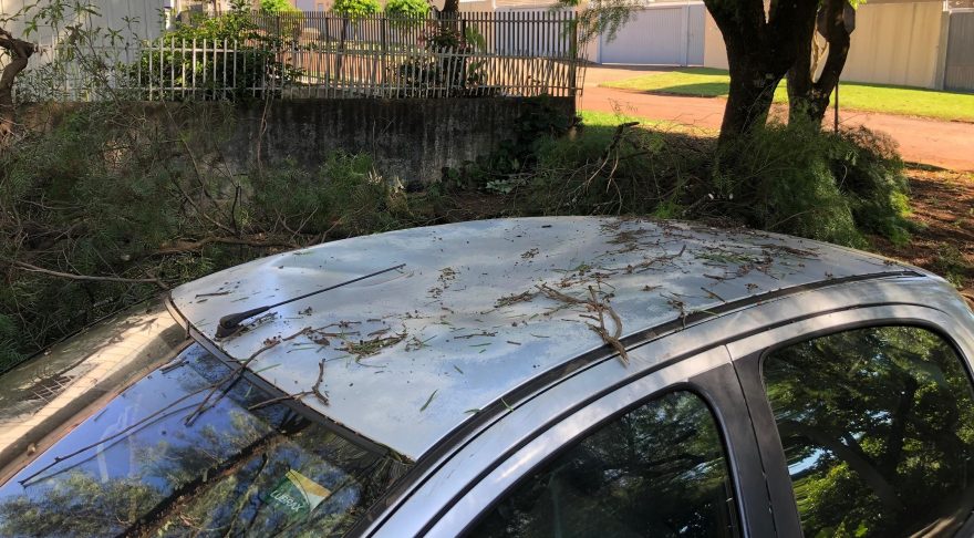 Árvore cai sobre Peugeot 206 no bairro Parque São Paulo